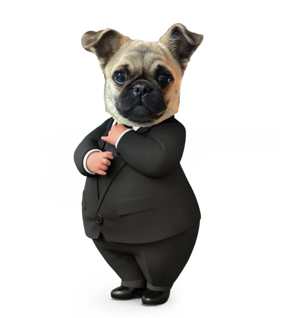 Suit Dog项目头像